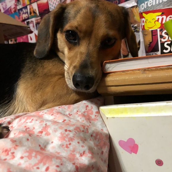 💗⭐️💗CHAR💗⭐️💗 - Picture 3 of 8